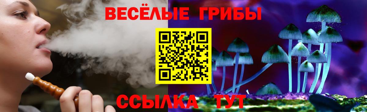 Галлюциногенные грибы мицелий  наркотики  Баксан  Вход с VPN 